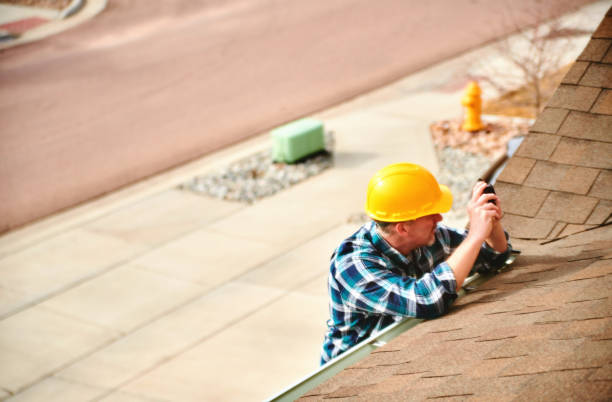 Roof Gutter Cleaning in Farmers Loop, AK