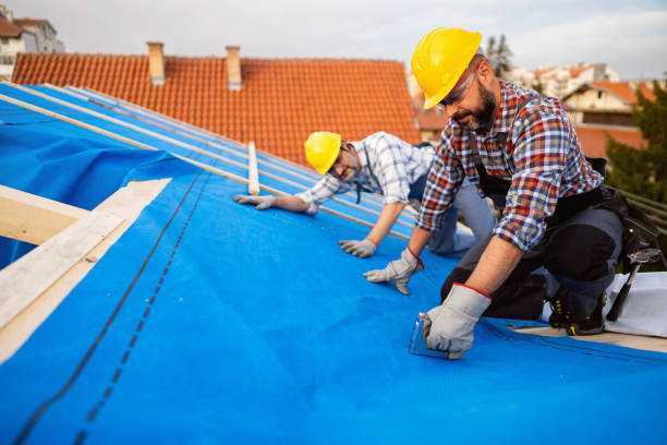 Best Flat Roof Repair Services  in Farmers Loop, AK